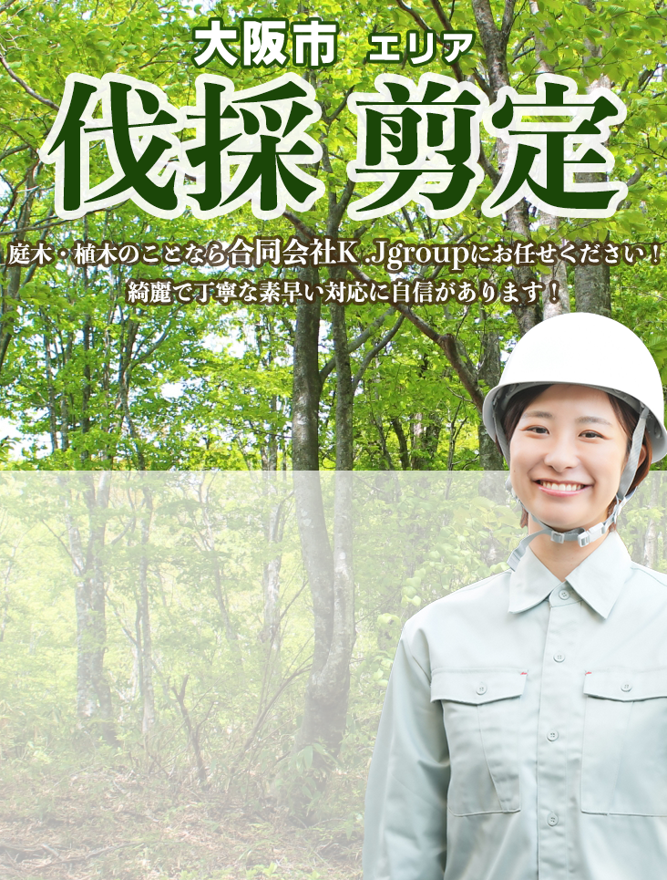 庭木・植木のことなら合同会社K .Jgroupにお任せください！綺麗で丁寧な素早い対応に自信があります！