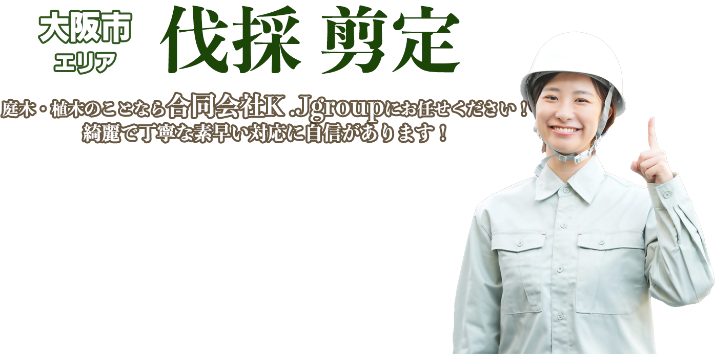 庭木・植木のことなら合同会社K .Jgroupにお任せください！綺麗で丁寧な素早い対応に自信があります！